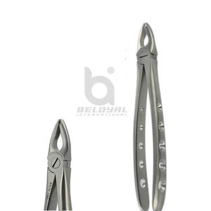 Fórceps de extracción Dental Anterior de dentista profesional Suministro de instrumentos quirúrgicos Fórceps de extracción de dientes anteriores - Product Image 4