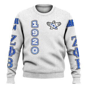 ZPhiB bleu blanc pull en tricot 1920 Zeta Phi Beta sororité vie grecque Chenille broderie divine neuf lettre vêtements - Product Image 1