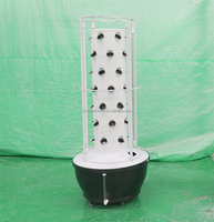 Tour de culture de légumes hydroponiques Lyine Système de tour de jardin vertical Système de culture de jardin à tour