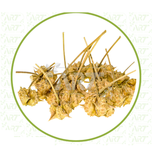 Graines de Gokhru propres et séchées idéales pour faire des décoctions et des infusions pour soutenir le bien-être et la santé reproductifs masculins - Product Image 3