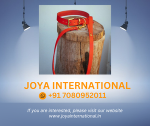 Conjunto de Collar y correa para perro, 30mm de ancho, Rojo - Product Image 2