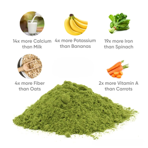 Polvo de Hoja de Moringa 100% Puro, Rico en Antioxidantes, para Apoyar la Pérdida de Peso, la Inmunidad y Aumentar la Energía, al Mejor Precio desde India - Product Image 3