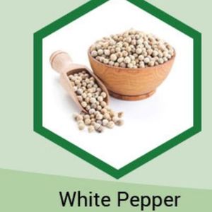 พริกไทยขาวสดแบบเวียดนามล้างได้สองชั้นสินค้าใหม่ - Product Image 5