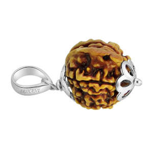 Colgante de Plata 925 con 5 Mukhi Ganesh Ji Nepali Rudraksha, 100% Original y Certificado, Colgantes y Amuletos Finos - Product Image 3
