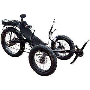 Triciclo Eléctrico Reclinado de 3 Ruedas para Adultos, Neumáticos Anchos, >800W 60V - Product Image 1