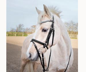 Venta al por mayor precio barato calidad superior Real cuero caballo brida caballo filete cuero brida diseño personalizado precio barato al por mayor - Product Image 3