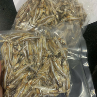 VENTE CHAUDE 2024 POISSON D'ANCHOIS SÉCHÉS EN VRAC/ANCHOIS SÉCHÉS DU FOURNISSEUR DU VIET NAM AU MEILLEUR PRIX