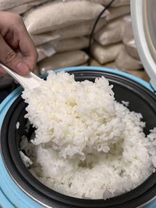 Août 2024 Livraison Sud Mékong Vietnam Japonica Long Pattern Basmati Dry Riz Esther WA + 84 981 565 210 Soft Promotion - Product Image 4