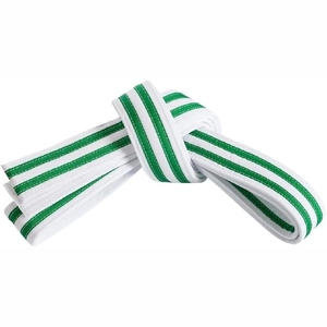 Nouveau 2025 ceinture de karaté imprimée sur mesure de qualité professionnelle prix bon marché nouveau Type équipement d'arts martiaux - Product Image 1