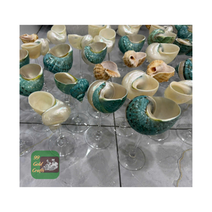 GAFAS NATUARALES SOSTENIBLES DE CONCHA MARINA DISEÑO CREATIVO PARA MESA DE DECORACIÓN DE 99 DATOS DE ORO - Product Image 1