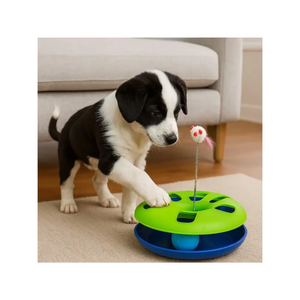 Pet Interactive <b>Track</b> Toy with Spring Mouse and <b>Ball</b> Single Layer - Product Image 3
