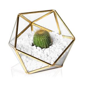 Excellent Quality <b>Glass</b> <b>Terrarium</b> For Living Room or Dining Room Decoration Item <b>Glass</b> <b>Terrarium</b> Hanging. - Product Image 5