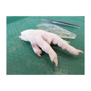 Acheter des pattes de poulet congelées au Brésil de qualité/Pieds de poulet à bas prix Pieds de poulet congelés/Pattes de poulet/Quart de cuisse de poulet - Product Image 2