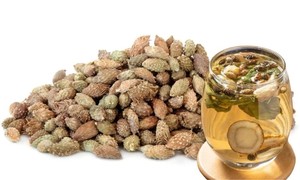 Fruits de Xanthium sibiricum séchés en vrac pour les extraits à base de plantes, les compléments alimentaires et les extraits végétaux - Product Image 2