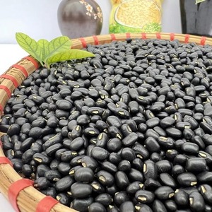 Frijoles negros orgánicos Forma de riñón de la mejor calidad Origen del Reino Unido Entrega rápida Disponible ahora - Product Image 5