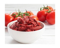Harga Pabrik Grosir Massal Pasta Tomat Alami Lezat Grade A 28%-30% 25kg 99 Brix Bebas Aditif Umur Simpan 12 Bulan