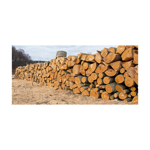 Low price Oak Wood <b>Logs</b> with high strength for structural and <b>decorative</b> applications - Product Image 5