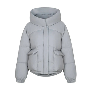 Veste Puffer Veste Puffer Hommes Vêtements de Haute Qualité en Usine - Product Image 1