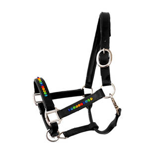 Cabestro de cuero de caballo plegable de calidad ecuestre multicolor negro Bling selección superior del fabricante - Product Image 6