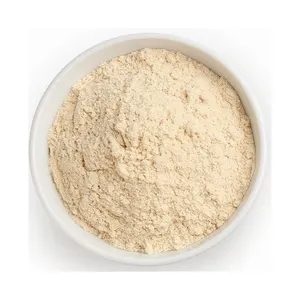纯大蒜粉和颗粒状大蒜提取物粉发酵粉脱水最佳品质面粉