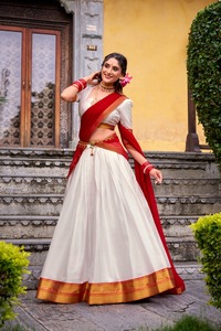 Lehenga Choli en polycoton pour occasions spéciales avec broderie en zari, fabricant et fournisseur de mode féminine - Product Image 3