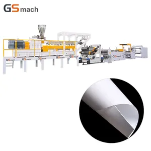 Degradable Bio-Based PLA Starch Sheet Roll Extruder Machine for Disposable Milk Tea Cups and Medical Packages