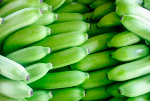 Plátano Cavendish Verde Fresco de Calidad Orgánica Premium, 0.3 kg, en Venta - Product Image 2