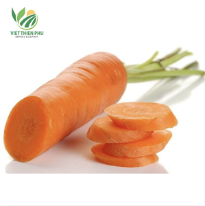Viet Thien Phu-แครอทแช่แข็งคุณภาพระดับพรีเมี่ยมสดแช่แข็งและพร้อมใช้สำหรับมื้ออาหารเพื่อสุขภาพ - Product Image 3