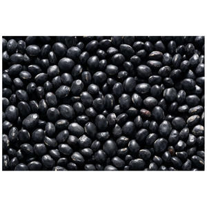 Frijoles negros de estilo seco verde y saludable de alta calidad, frijol rojo británico orgánico certificado de riñón, proteína rica Dar - Product Image 3