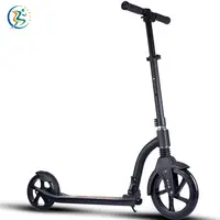 Scooter Aluminum Alloy Big Wheels 230mm 200mm Push Selling 2 Wheel Freestyle Adult Kick Scooter