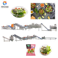 Fengxiang merk 304 roestvrijstalen verse salade verwerkingslijn 5000kg/u automatische groente- en fruitwas- en schilmachine