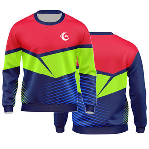 2025 sudadera de gran tamaño con estampado francés Terry para hombre, ropa de calle con cuello redondo y logotipo bordado, suéter de moda de algodón - Product Image 3