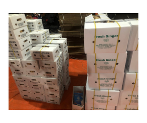 ขิงสดคุณภาพสูงจากฟาร์มในเวียดนาม - ขิงสดขนาดสม่ำเสมอสำหรับการสั่งซื้อจำนวนมากและการผลิตอาหาร - Product Image 4