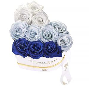 Caja de Regalo de Tela Chelsea con Diseño Azul y Blanco con Motivo de Plantas - Product Image 2