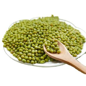 Frijoles Mung verdes al por mayor Frijoles Mung Vigna para exportación Frijoles Mung frescos y secos orgánicos y sin OGM disponibles para la venta - Product Image 3