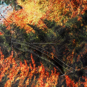 Nuevas Sudaderas con Capucha Bordadas de Invierno para Hombre, Modernas y Elegantes, Transpirables, de Secado Rápido y Suaves - Product Image 4