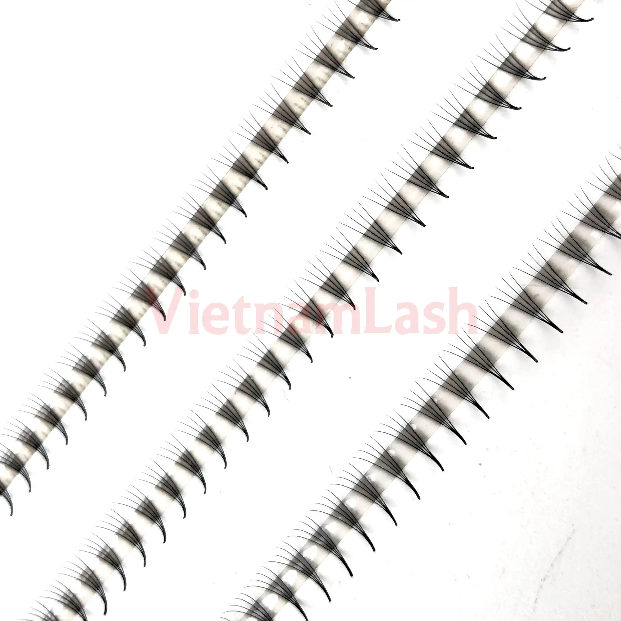 Premium eyelash extensions pro made korean pbt eyelash extensions narrow fans in line tray promade fans 4D 0.07 CC 12mm for lash