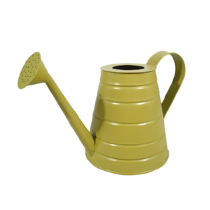 Canette d'eau en métal de qualité supérieure canette d'eau décorative couleur verte peinte à la main à la main élégante meilleure canette d'eau - Product Image 1