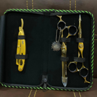 Nouveauté, ciseaux de barbier professionnels, kit de rasoir, acier inoxydable de haute qualité, durable, couleur personnalisée, outil de salon, logo personnalisé