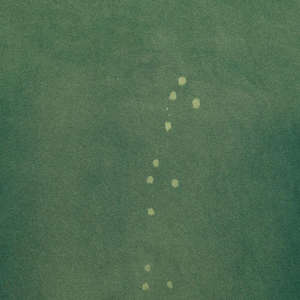 Camiseta de gran tamaño lavada con ácido de algodón 100% de alta calidad para hombre, ropa de calle con hombros caídos, logotipo liso de talla grande, diseño en blanco de punto - Product Image 6