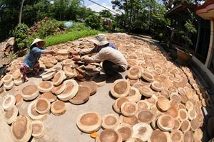 BEST SELLER Round Wood Panels | Eco-friendly Pine Slices for <b>Coasters</b>, Wall Paneling & Paintings - <b>BLUE</b> LOTUS VIETNAM - Product Image 2