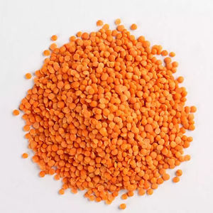 Lentilles rouges séchées d'usine à exporter en gros lentilles de qualité supérieure - Product Image 2