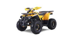 Powersports Mudhalwk 10.FI รถเอทีวีสำหรับเด็ก – เครื่องยนต์ 110 ซีซี ระบบหัวฉีดอิเล็กทรอนิกส์ เกียร์อัตโนมัติ-สั่งซื้อเลย - Product Image 2