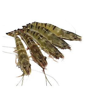 Venta de camarón tigre negro fresco congelado, camarón tigre negro, camarón tigre negro, embalaje OEM, Exportación a granel al mercado japonés - Product Image 5