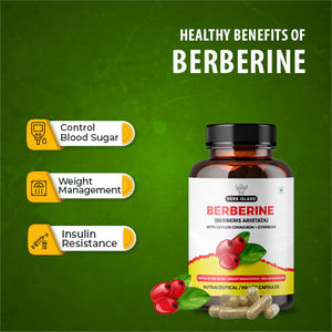 Meilleure vente Capsules d'extrait de berbérine 100% naturel de haute qualité Emballage OEM avec étiquette personnalisée à bas prix pour la culture sauvage - Product Image 2