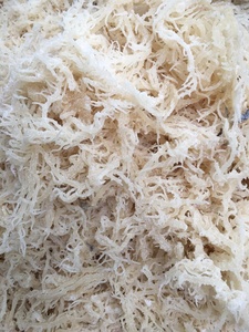 Vente en gros d'algues eucheuma cottonii séchées de haute qualité de fournisseur vietnamien - Product Image 3