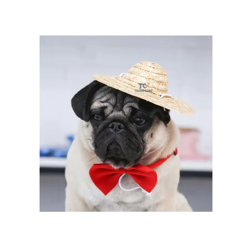 Chapeau De Paille Pour Animaux Compagnie Soleil Animal Décoration