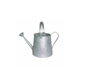 ไม้เท้าโลหะชุบสังกะสีสำหรับสวนในร่มและกลางแจ้งทำด้วยมือดีไซน์อินเดีย - Product Image 1