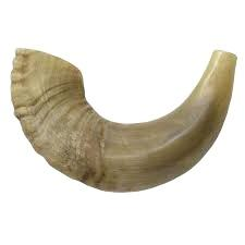 Corne de bélier de qualité supérieure Shofar corne naturelle Shofar pour souffler sur Rosh Hashanah Corne de bélier casher Shofar Kudu polie de qualité supérieure - Product Image 6