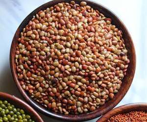 Macrotyloma uniflorum de qualité supérieure, haricot de cheval riche en protéines, nettoyé, classé, exporté en vrac, adapté à l'alimentation animale et à l'usage humain - Product Image 2